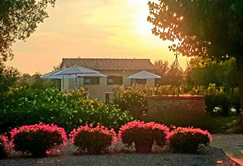 酒店 Punta Dei Lecci