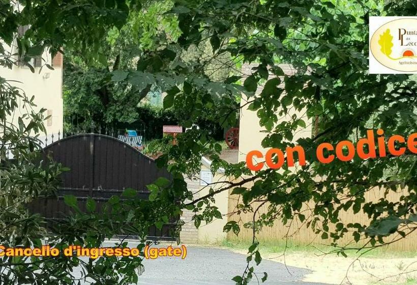 酒店 Punta Dei Lecci