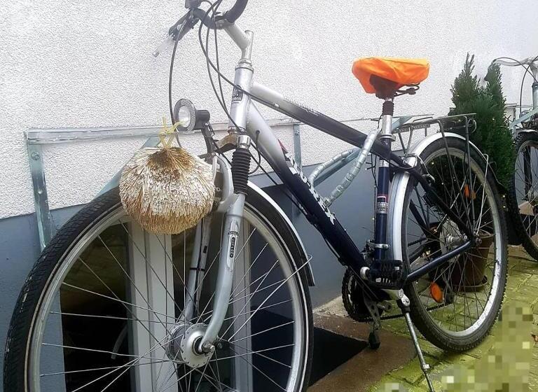 New Hostel Berlin Mitte Free Snack Hot Tea And Coffee