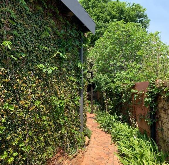 פנסיון B S At Strauss