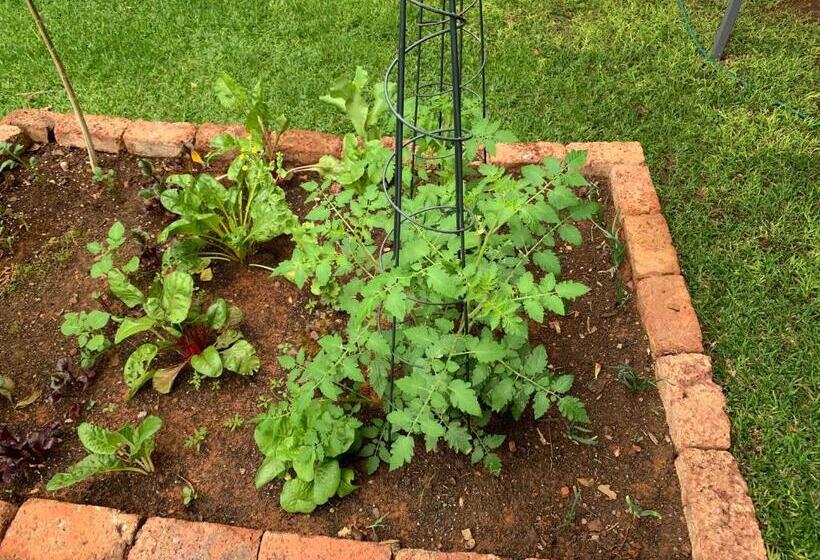 פנסיון B S At Strauss