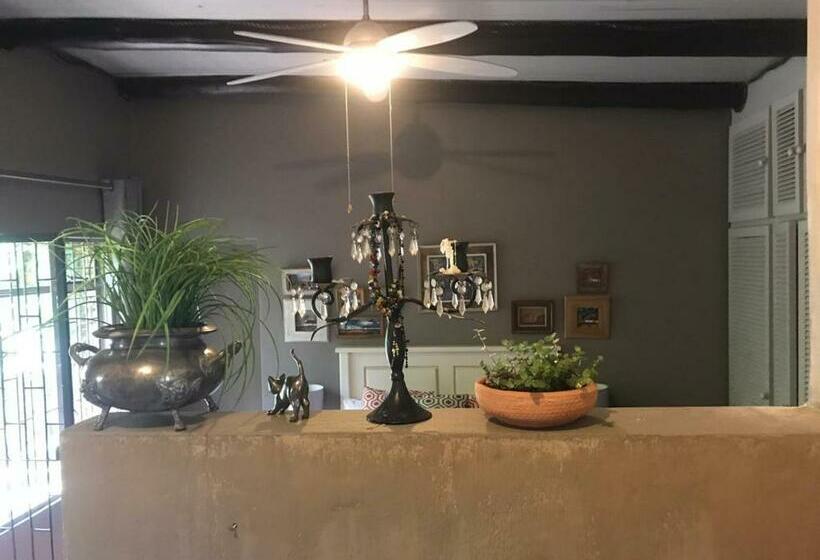 פנסיון B S At Strauss