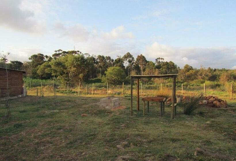 פנסיון Brakvlei