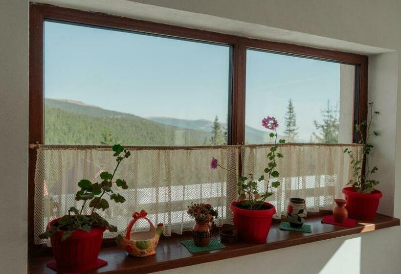 ペンション Casa Bunicutei