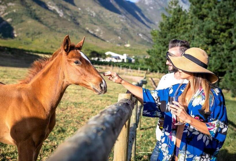 펜션 Hemel N Aarde Stud