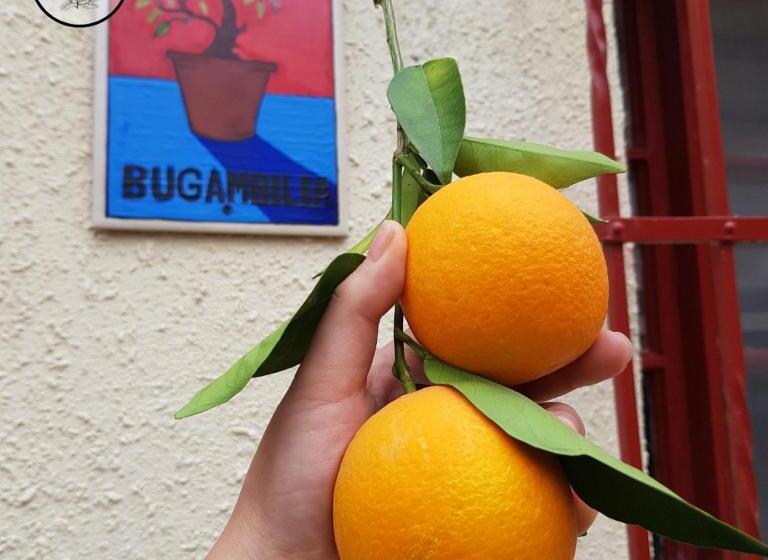 پانسیون Hostal Iká