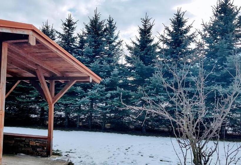 Пансион Privat Nika