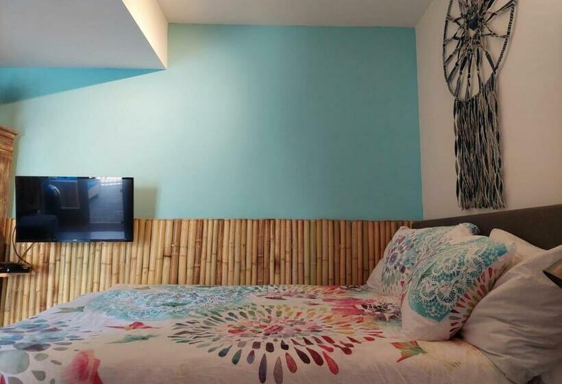 פנסיון Studio Pipper