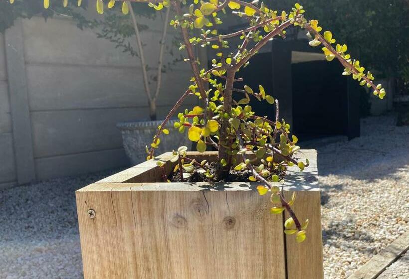 膳宿费 The Door Rsa Fifty Four