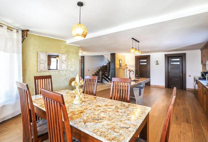 بنسيون Transilvania Mansion