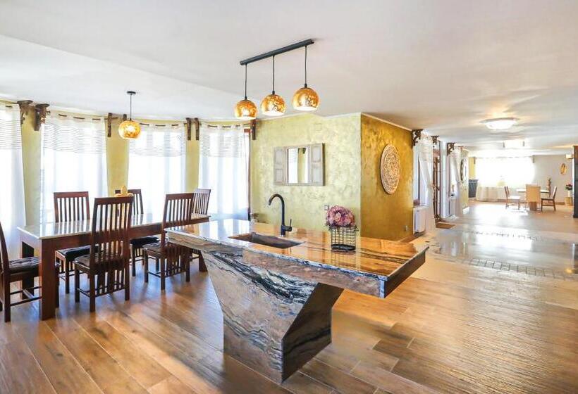 بنسيون Transilvania Mansion