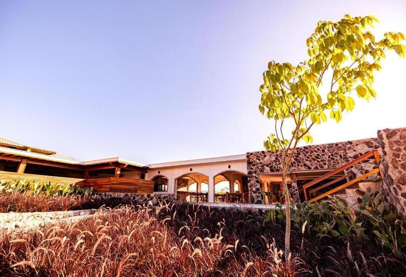 Пансион Villa Annapurna