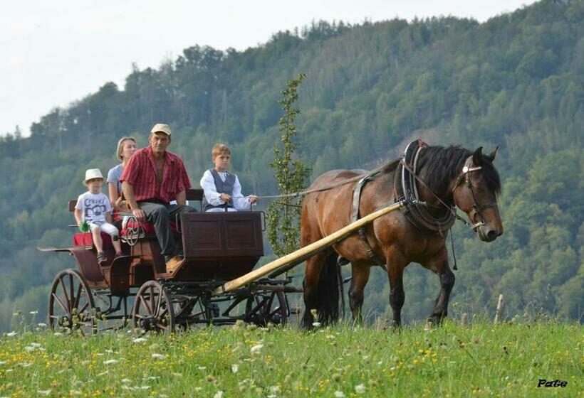 פנסיון Vodní Mlýn Wesselsky