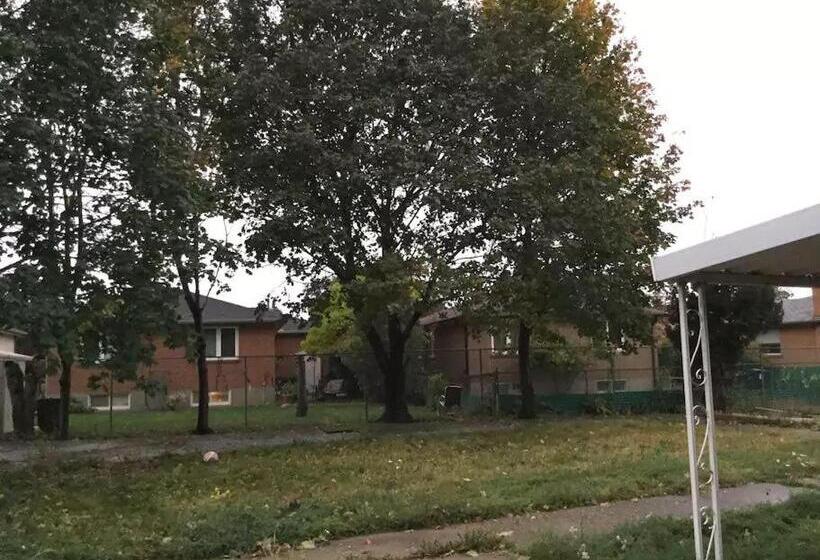 Szálló Private Rooms, Free Parking, Full Kitchen, Best Prices In Town  York University Heights