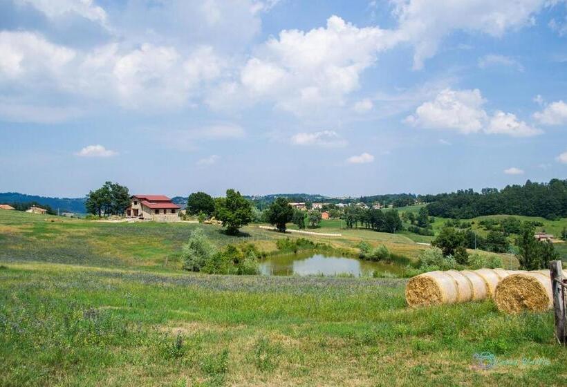 Antiche Vie B&b
