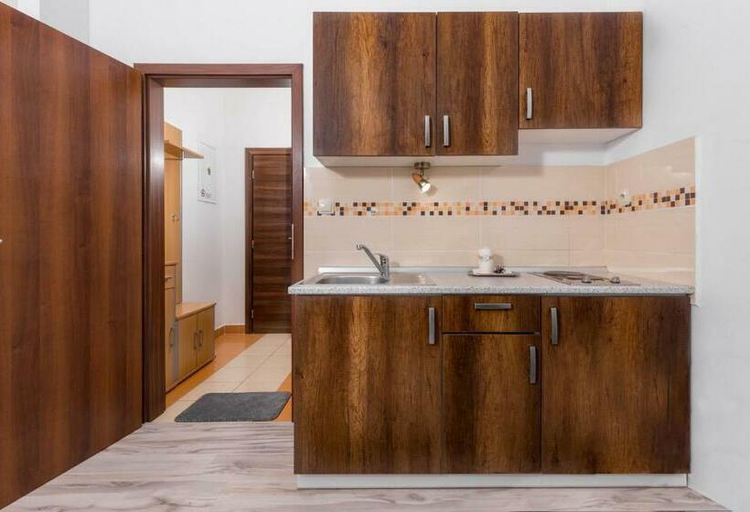 Apartment House Kamzík 9