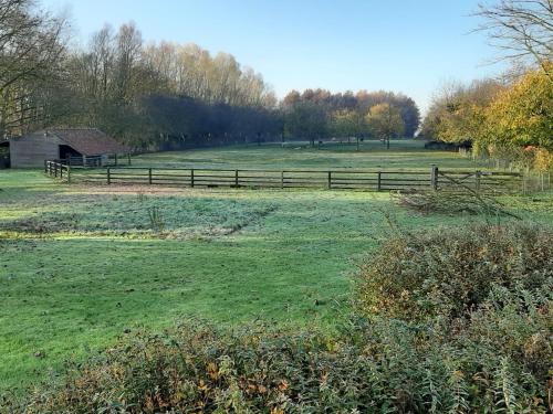 B&b Dons En Flanel