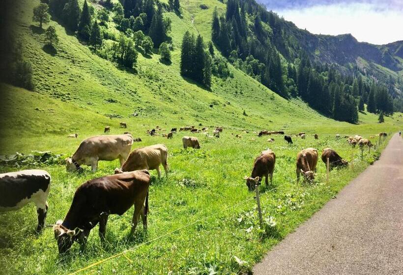 Bed and Breakfast 2 Raum Gästezimmer Prokop