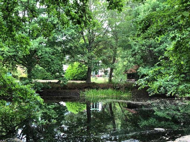 ベッドアンドブレックファースト Beau Reg Art