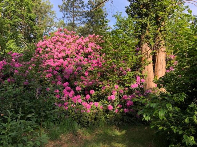 ベッドアンドブレックファースト Beau Reg Art