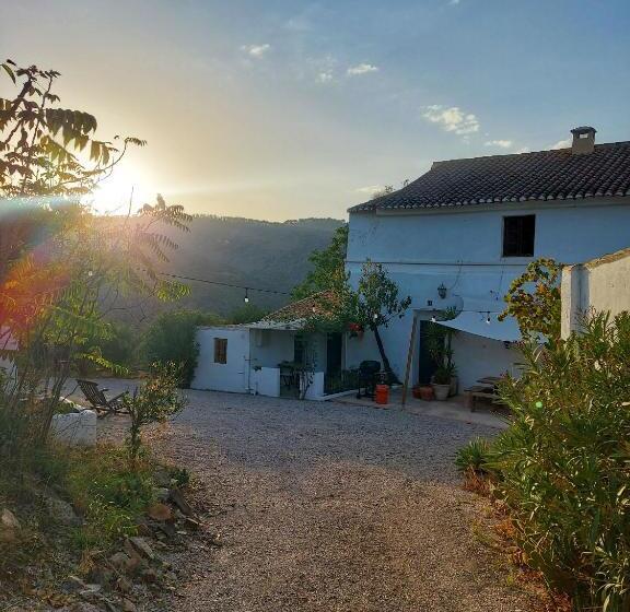 تختخواب و صبحانه Finca Serrato