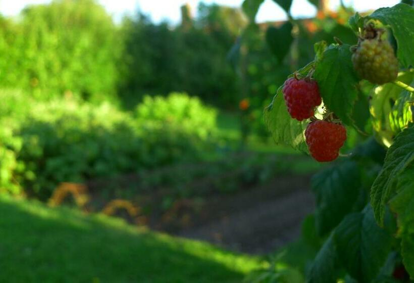 مبيت وإفطار Garwood House