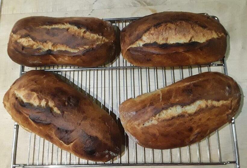 Bed and Breakfast La Ferme Du Bonheur