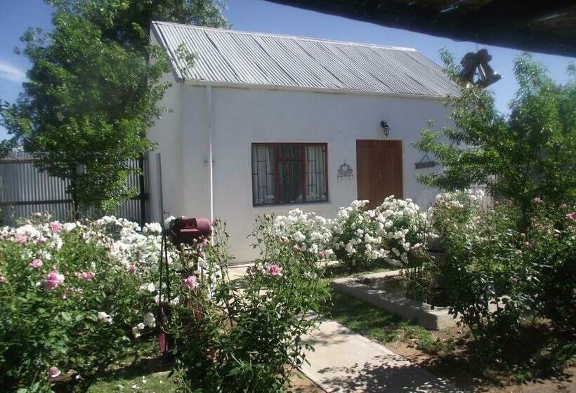 ベッドアンドブレックファースト Lavender Rose