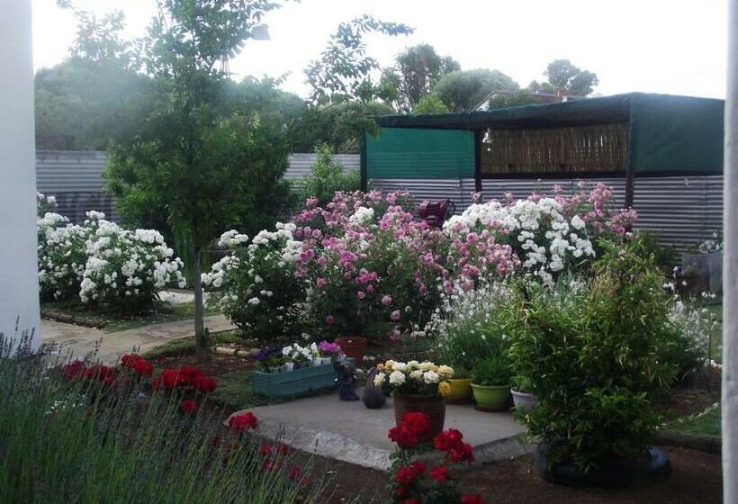 مبيت وإفطار Lavender Rose