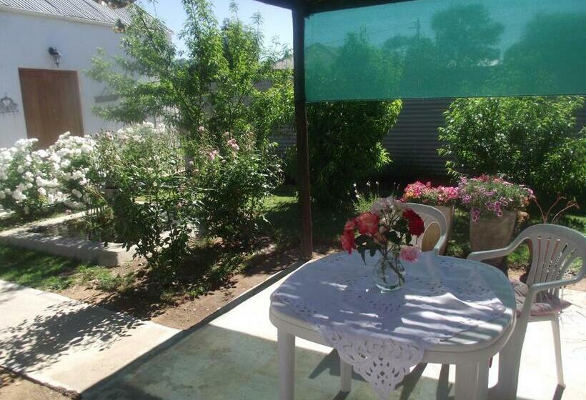 مبيت وإفطار Lavender Rose