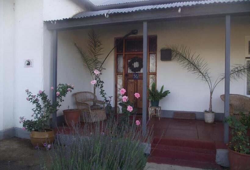 مبيت وإفطار Lavender Rose