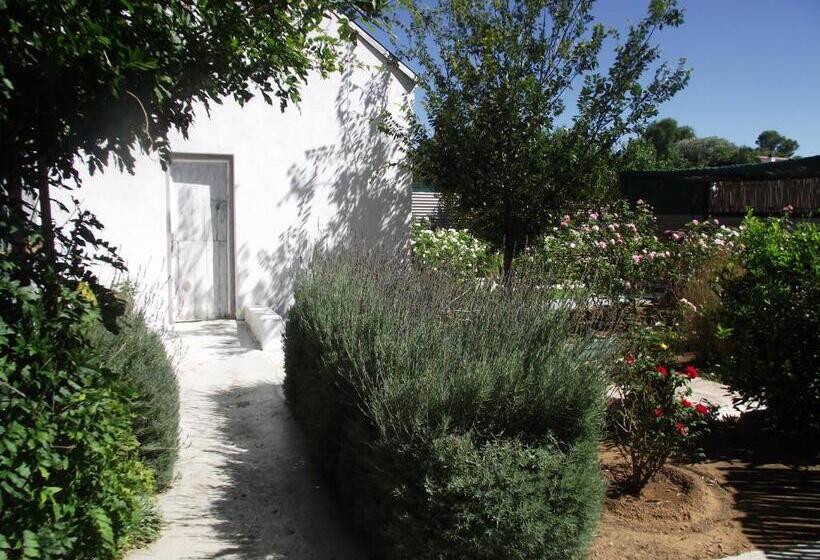 مبيت وإفطار Lavender Rose