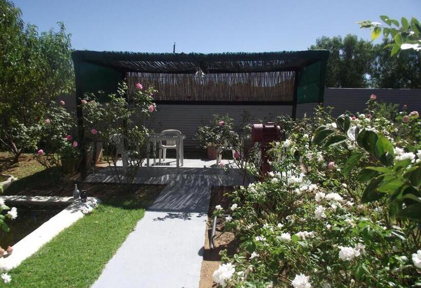 مبيت وإفطار Lavender Rose