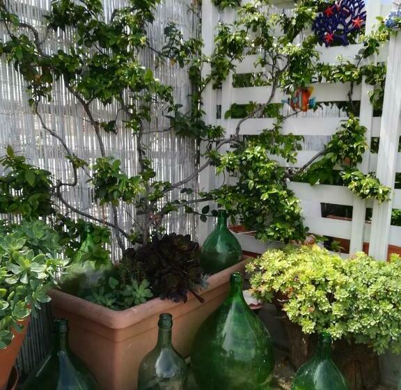 Bed and Breakfast Mandorleolio