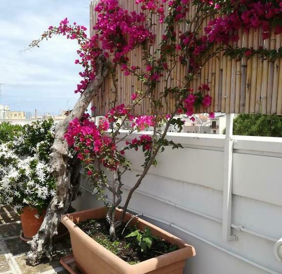 Bed and Breakfast Mandorleolio