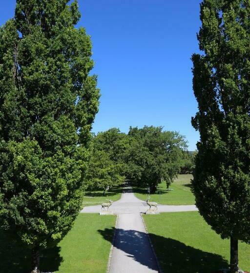 Отель Schloss Höhenried