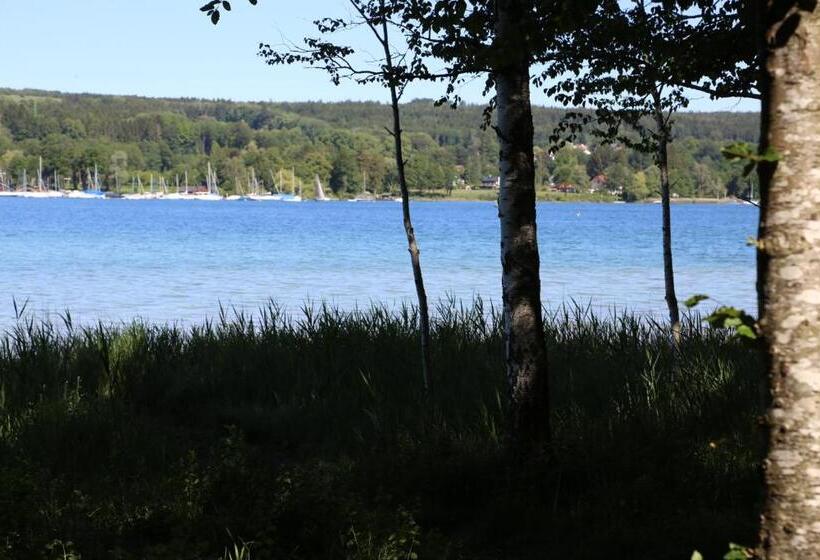 Отель Schloss Höhenried