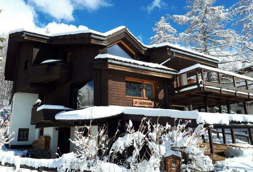 La Sauvagine B&b Skis Aux Pieds