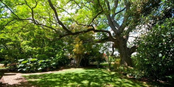 Lupus Den Country House B&b