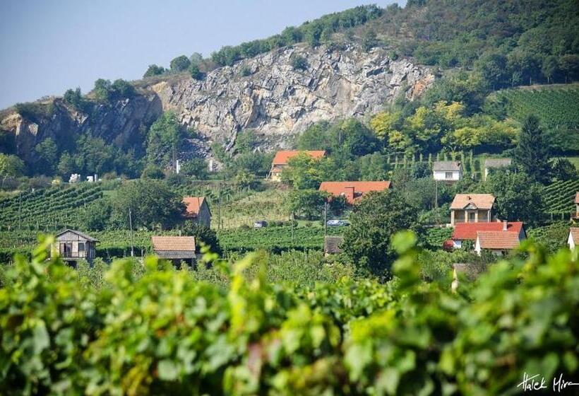 膳宿费 Borászporta  Présház