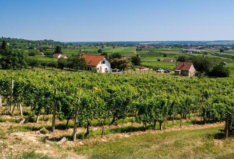 膳宿费 Borászporta  Présház