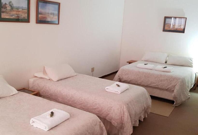 بنسيون Carlton Heights Guesthouse