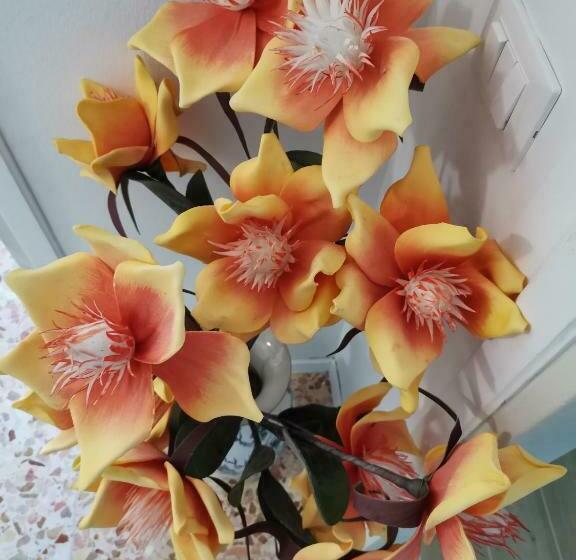 Пансион Casa Celeste