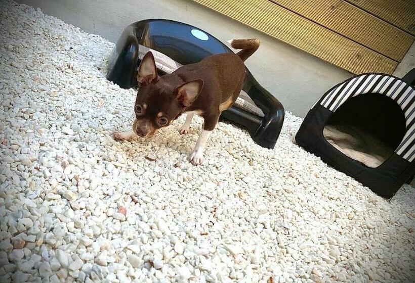 ペンション Glass Cube