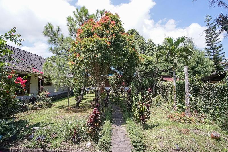 פנסיון Mountain View Homestay