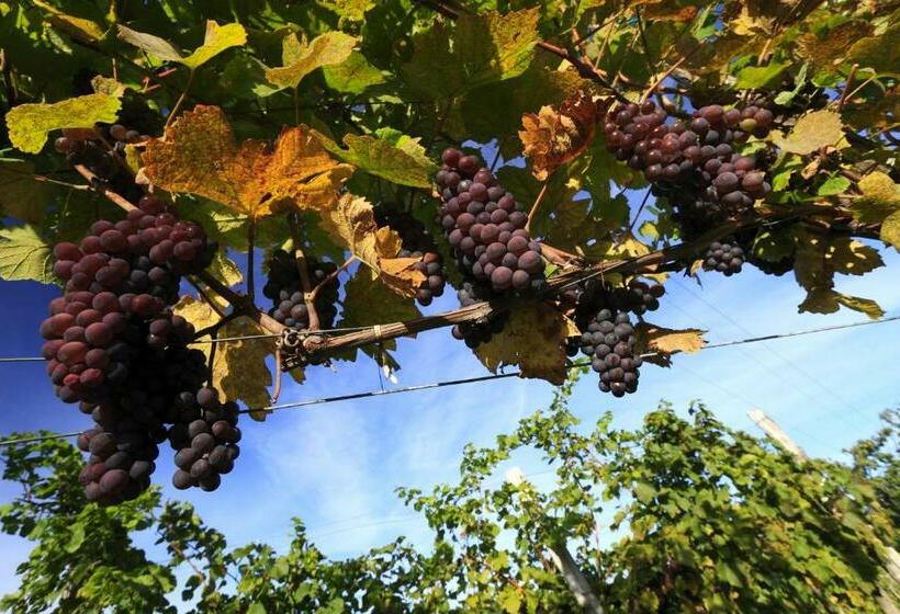 پانسیون Pri Marjotu