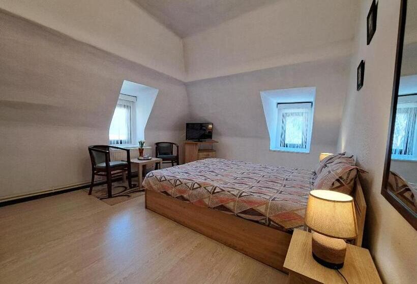 ペンション Vila Micul Castel