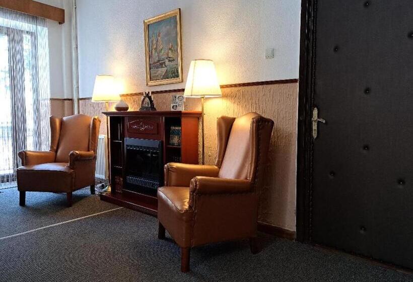 ペンション Vila Micul Castel