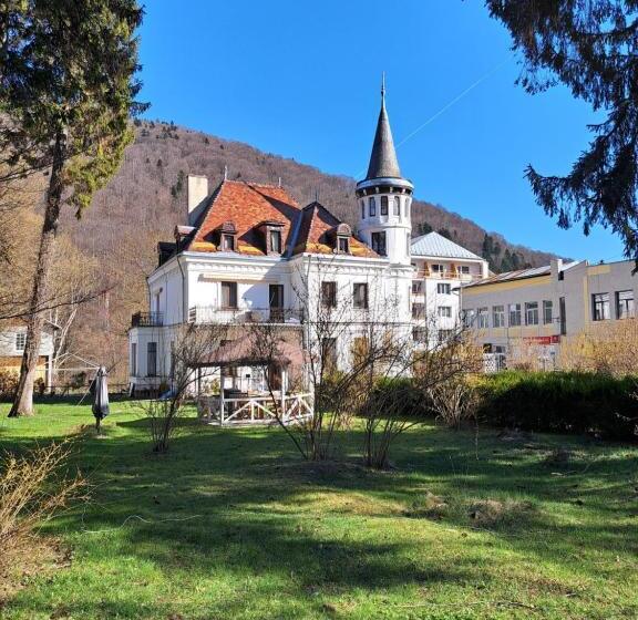 ペンション Vila Micul Castel