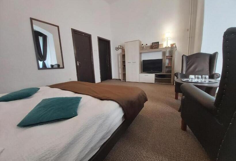 ペンション Vila Micul Castel